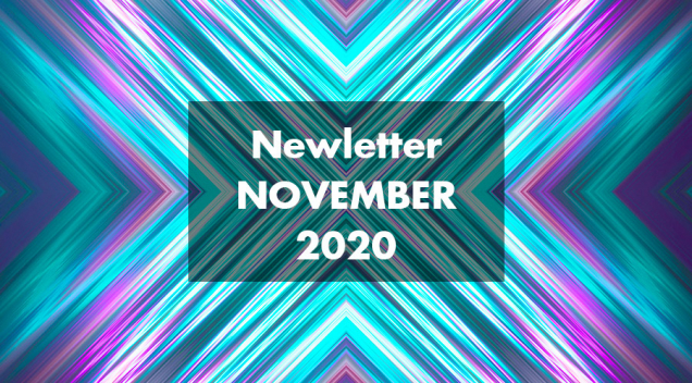 NEWSLETTER NOVEMBER 2020